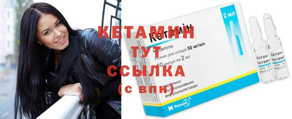 прущие грибы Вязники