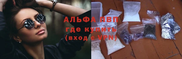прущие грибы Вязники
