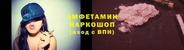 прущие грибы Вязники