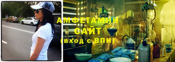 прущие грибы Вязники