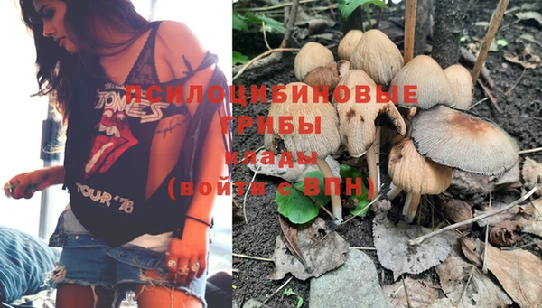 каннабис Вяземский