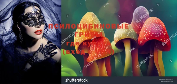 сатива Сосновка