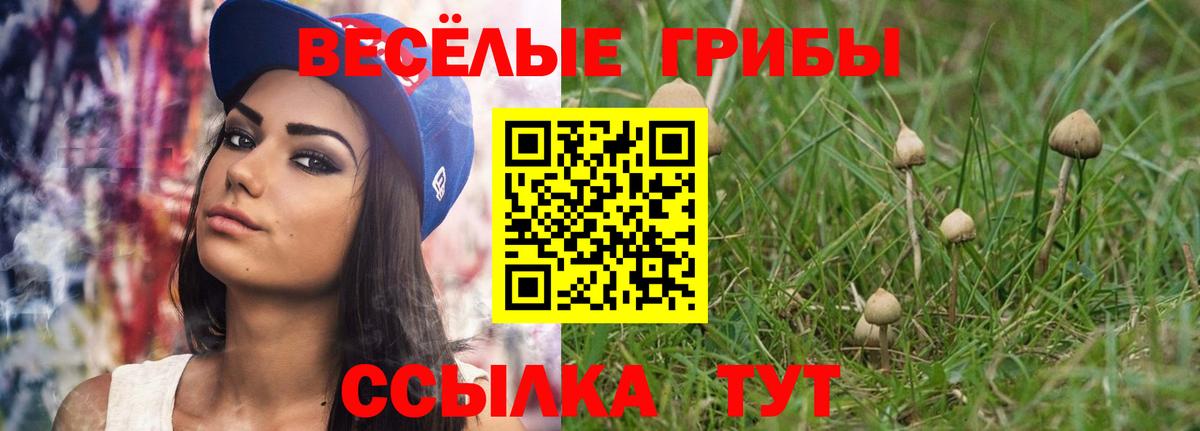 Псилоцибиновые грибы прущие грибы Саянск